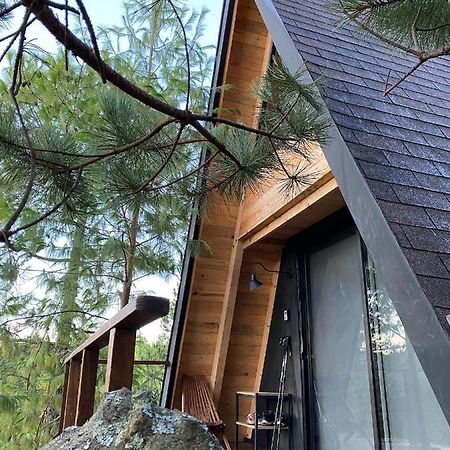 Cabanas Chalets Piedra Alta Zacatlan Camotepec Екстериор снимка